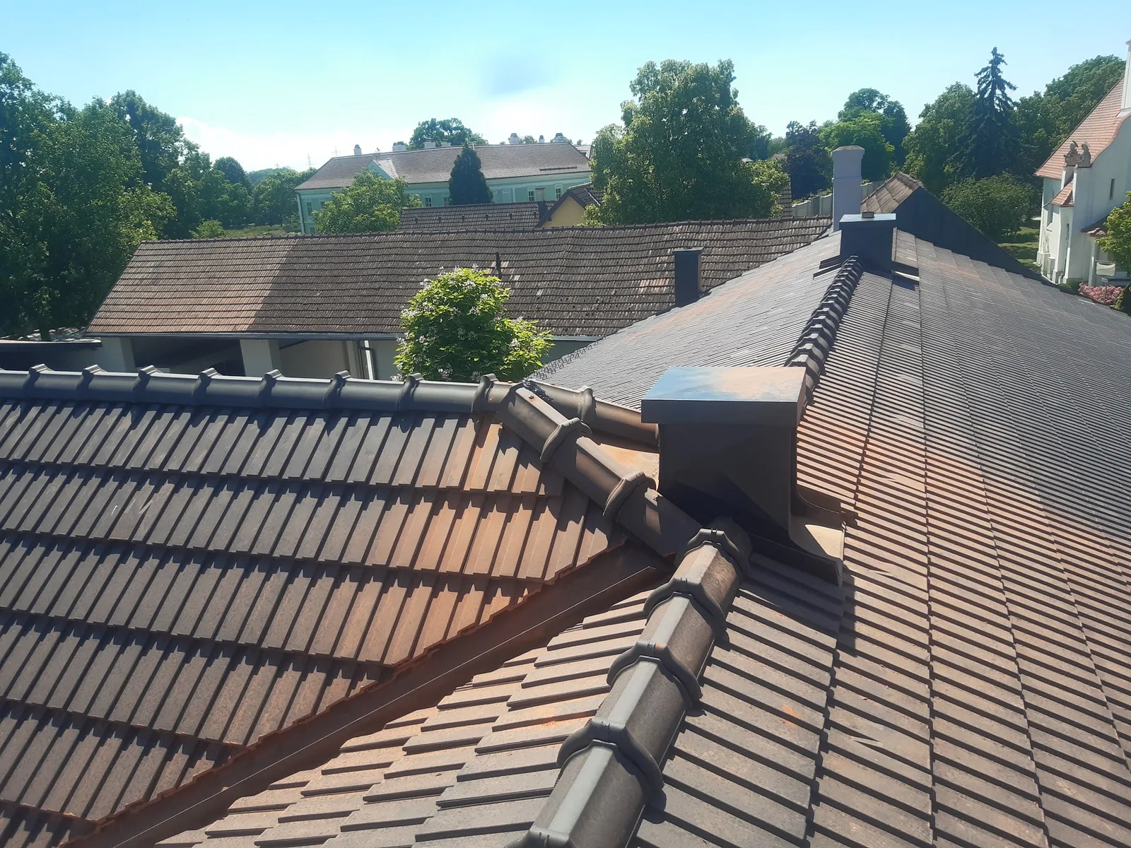 Neu gedecktes Ziegeldach mit verblechtem Kamin, dahinter Bäume und Nachbarhäuser
